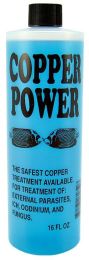 Copper Power Marine Copper Treatment (Option: 16 oz)